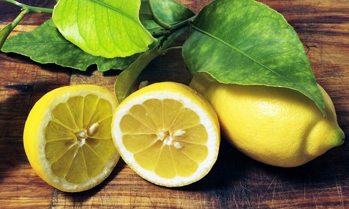 Coronavirus, igienizzanti per le mani a base di limoni: dalla provincia di Caserta arriva il Petrone Clean