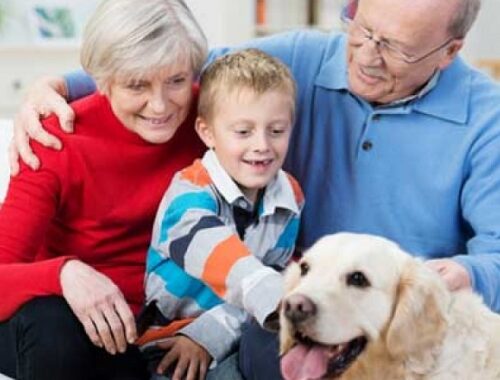 Il 20 dicembre l’AIDAA promuove la prima Giornata dell’amore tra nonni, bambini e animali